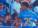 تحقیقات پلیس دربارهٔ ستارهٔ سابق آرسنال به خاطر رفتار جنجالی با هوادار جوان