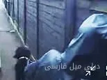 لحظهٔ حیرت‌انگیز: زن کلاهدار در حال خروج از خانهٔ خانواده با سگ در حین سرقت