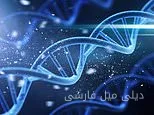 Is DNA Evidence of a Intelligent Creator?