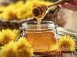 عسل‌های جادوئی یا فریب؟ ویاگرا در عسل‌های حاوی جاذبه جنسی!