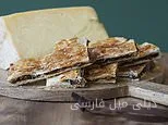 کجا رفته‌اند گاریبالدی‌ها؟
