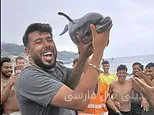 زندگی در خرابه: موج مهاجران و بحران‌های اجتماعی در سئوتا